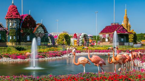 Dubai Miracle Garden: A Floral Wonderland With Food, Live Shows &amp; Millions Of Flowers