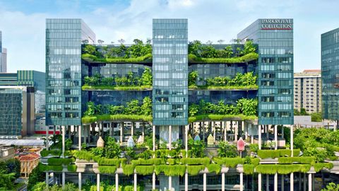 This Biophilic Hospitality Brand Is Greening Southeast Asia One Hotel at a Time 